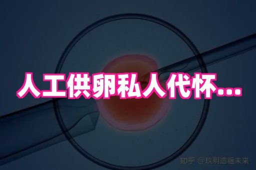 国际助孕网 4